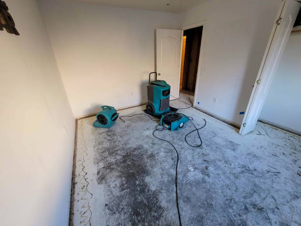 Best Flooded house restoration  in Mountain View Ranches, AZ