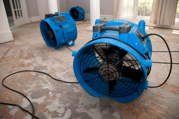 Best Sewage cleanup and water damage restoration  in Mountain View Ranches, AZ