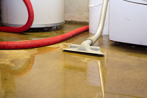 Best Local water damage restoration  in Mountain View Ranches, AZ