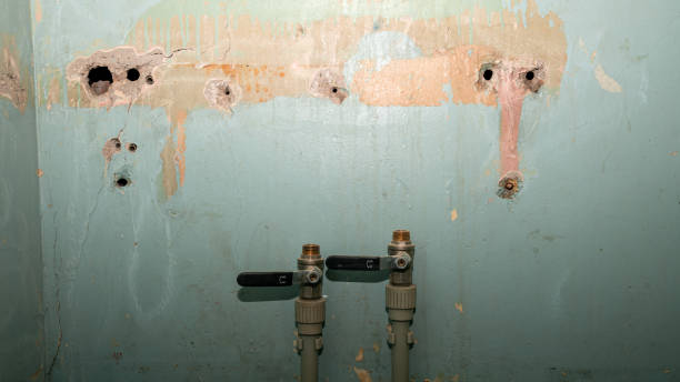  Mountain View Ranches, AZ Water damage restoration Pros
